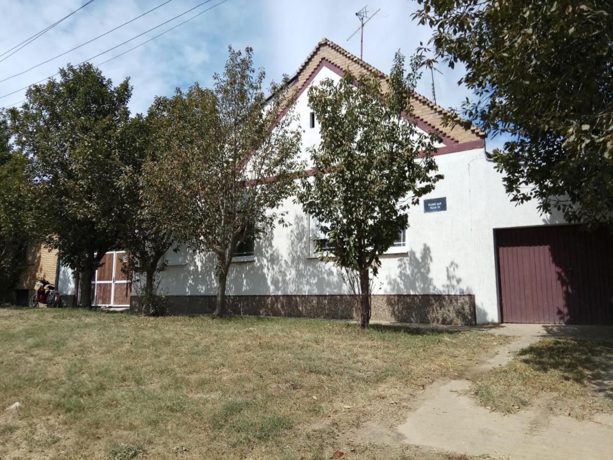 Liza Panzio Bed and Breakfast Mali Idos Buitenkant foto